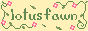 lotusfawn button
