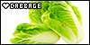 Cabbage
