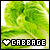 Cabbage